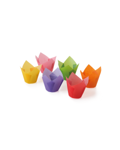 
Tulip 6 couleurs en papier
